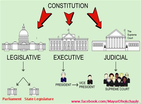 Social Studies Diagram Quizlet