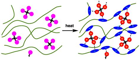 Schematic Of Electrostatic Cross Linking Between Polycations Red