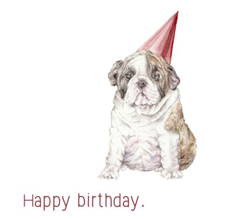 Happy Birthday Bulldog In Hat Free Pets Ecards Greeting Cards 123