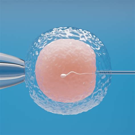 Premium Photo Ovum With Needle For Artificial Insemination Or In