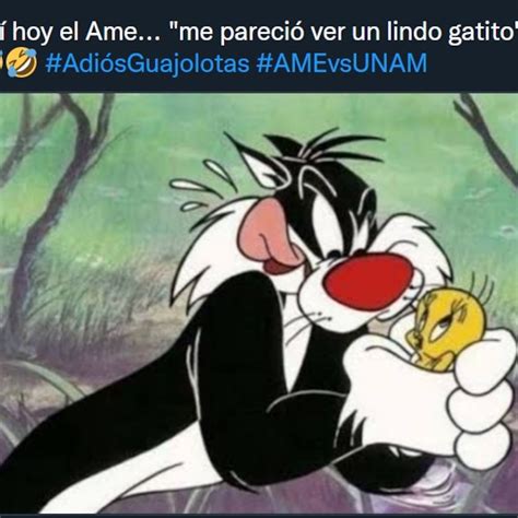 33 Memes Del Partido América Pumas IsobelKubrick