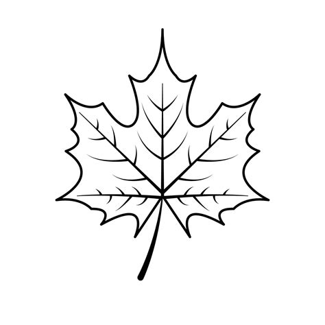 The Line Art of Fall Leaf 33338353 Vector Art at Vecteezy