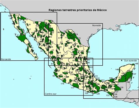 Regiones Terrestres Prioritarias De M Xico Mapa