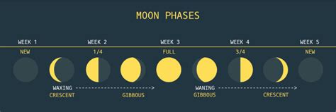 Moon Phases Southern Hemisphere Stock Illustration Download Image Now Istock