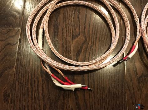 Kimber Cable 8TC 8 Ft Bi Wire Speaker Cables Photo 5086147 Canuck