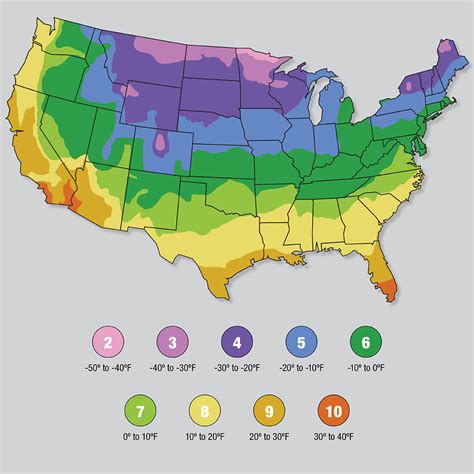 What Zone Am I In Gardening 2024 Naoma Anselma