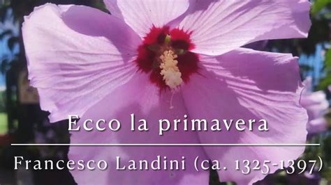 Ecco La Primavera Francesco Landini Ca Youtube