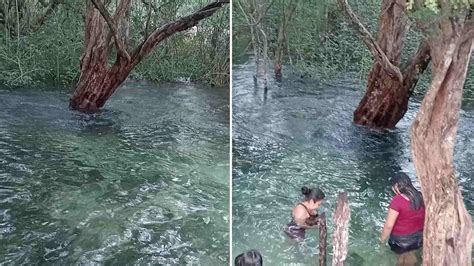 Sorprende Formación de Ojo de Agua Cristalina en Tizimín N