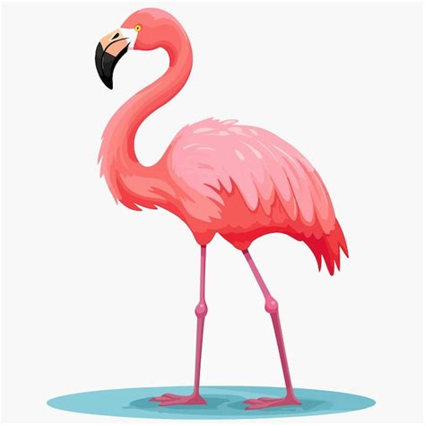 Premium Vector Pink Flamingo Cartoon Illustration