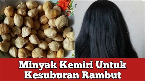 Cara Mudah Membuat Minyak Kemiri Untuk Kesuburan Rambut Youtube