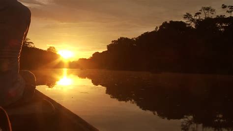 Paddeling Canoe On Amazon River Front Stock Footage Video 100 Royalty