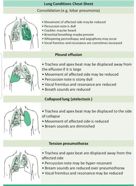 Atelectasis Vs Pneumothorax