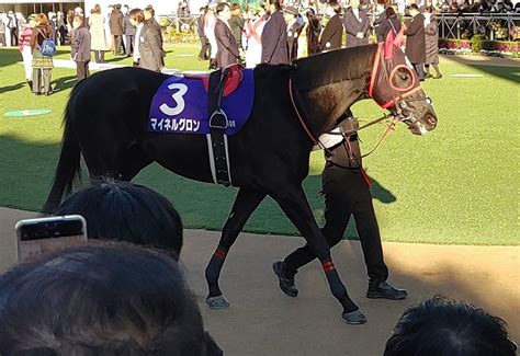 👑🐴中山グランドジャンプ 2024 ぽんぽこ日記