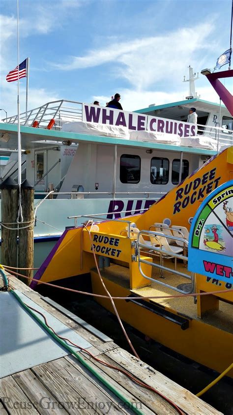 Virginia Beach Whale Watching On Rudee Tours (Pictures & Video Included)