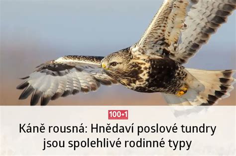 Asopis On Twitter Na Sklonku Podzimu Se T M Na Jejich