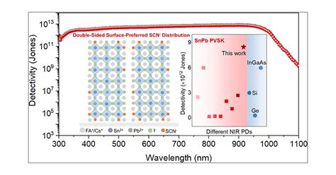 Realizing High Detectivity Near Infrared Photodetectors In Tinlead