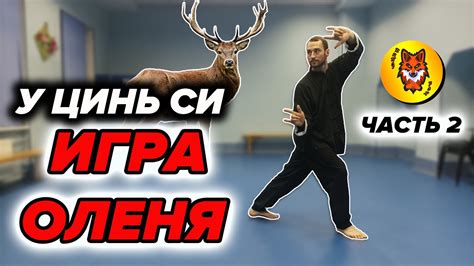 Комплекс Ци Гун "Игра 5 зверей". ОЛЕНЬ - YouTube