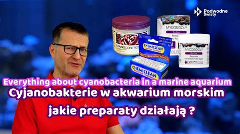 Cyjanobakterie w akwarium morskim Jakie preparaty działają