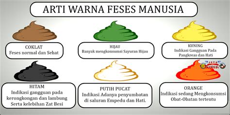 Warna Feses Indikator Kesehatan Anda Sudi Podo Joyo Group