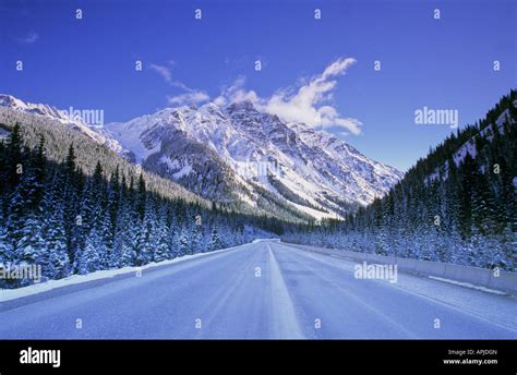 Trans Canada Highway Durch Rogers Pass Mount Tupper Glacier Nationalpark Bc Kanada