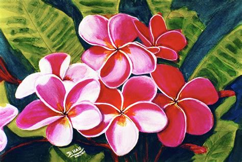 Hawaii Tropical Plumeria flower #126 Painting by Donald K Hall - Fine ...