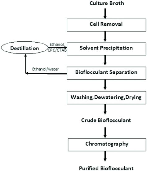 Extraction And Purification Processes For Microbial Polysaccharide Download Scientific Diagram