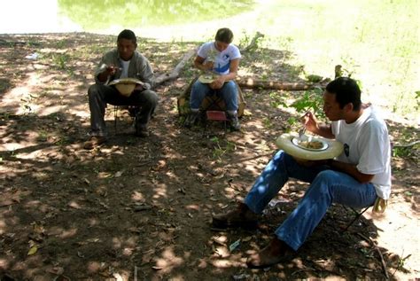 Contos De Paco Encontros A Vida Selvagem Pantanal Cap Tulo