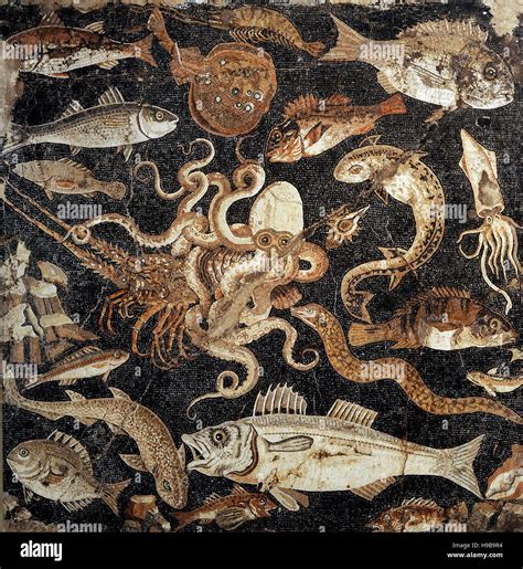 Mosaïque romaine La faune marine Pompéi Italie 1er siècle avant JC