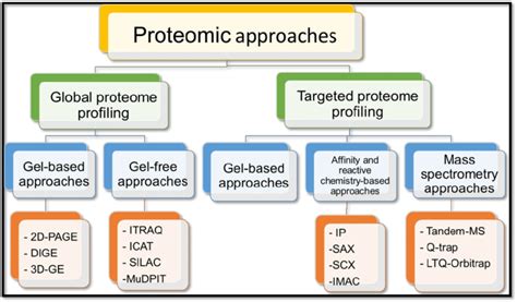 Schematic Representation Of Various Proteomics Approaches Download