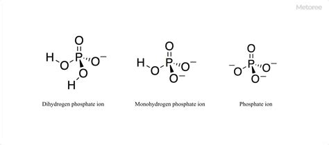 16 Phosphoric Acid Manufacturers In 2024 Metoree