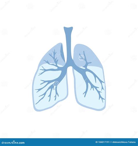 Lungs Icon Isolated On White Background Internal Organs Of Human