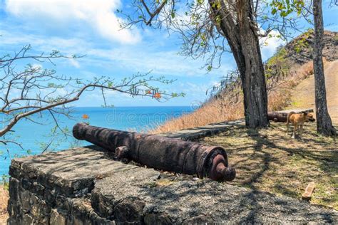 St Lucia Cannon Stock Photo Image Of Artillery Stone 248998850