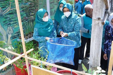 Gelar Lomba Aku Hatinya Pkk Bunda Fatma Ajak Masyarakat Manfaatkan