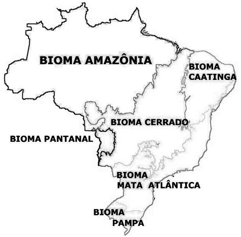 Mapa De Biomas Do Brasil Desenho Para Imprimir E Colorir In