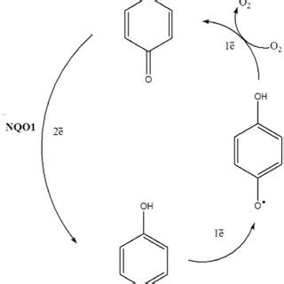 (PDF) Cancer Cell Sensitivity to Redox-Cycling Quinones is Influenced ... 