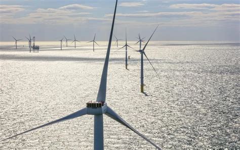 Van Oord Sells Stake In 19 Mw Borssele V Offshore Wind Farm To Octopus