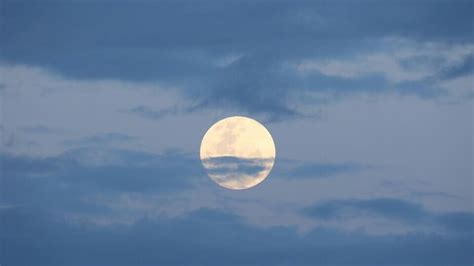 The First Of Augusts Two Supermoons Lights Up The Sky Abc Radio National