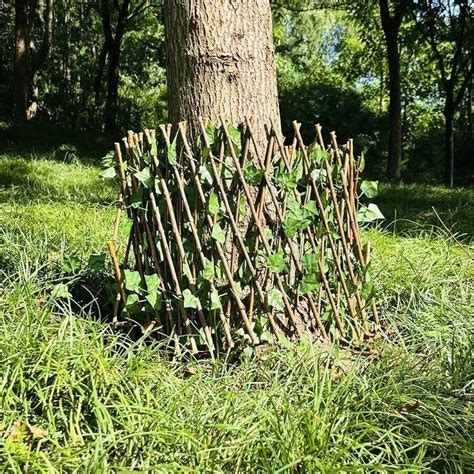 Nouveau Prolongement D Abri De Jardin Treillis D Intimit Haie D