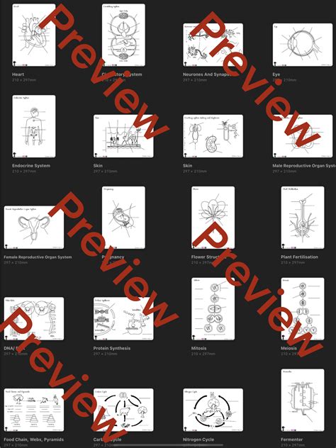 Gcse Igcse Biology Diagrams Unlabelled Teaching Resources