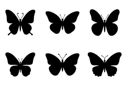 Premium Vector Silhouette Of Butterfly Set Of Butterflies Of