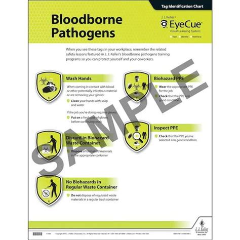 Eyecue® Bloodborne Pathogens Laminated Poster