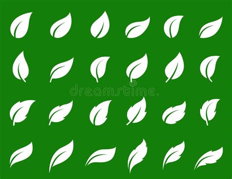 Iconos Aislados Blancos Simples De La Hoja Fijados En Verde Ilustración