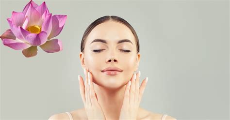 Lotus Flower Skin Care Best Flower Site