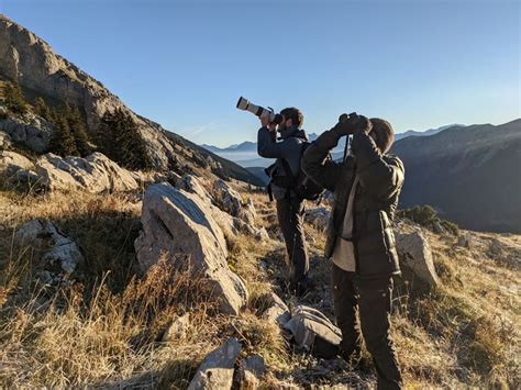 Reconnaître les chants d oiseaux Sortie nature