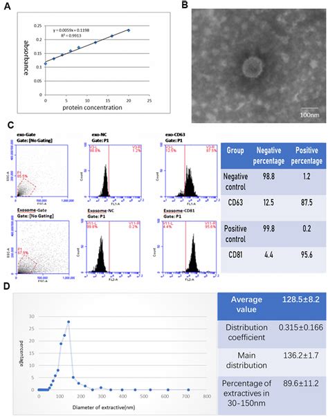 Haecs And Their Exosomes Improve Cardiac Function After Acute