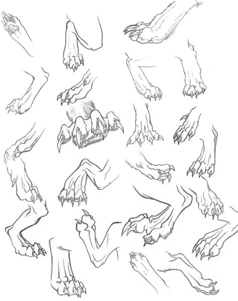 Drawing References V1 Imgur Concept Art Drawing Paw Drawing Art