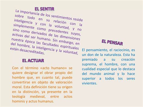 Las Tres Dimensiones Del Ser Humano Diaposotivas Ppt Descarga Gratuita