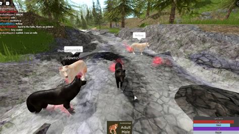 Cenozoic Survival Roblox Wolf Pack Youtube