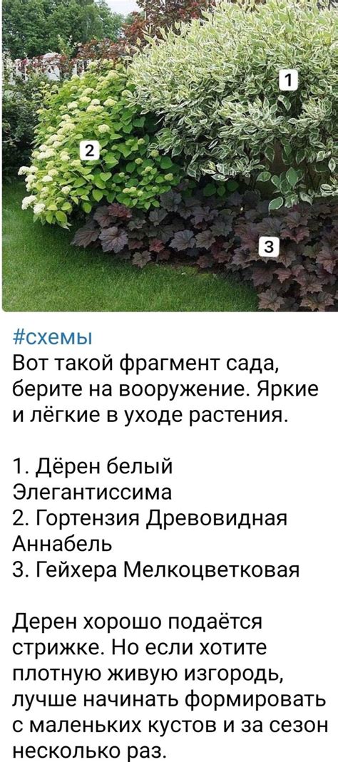 Пин от пользователя Надежда на доске Дача | Планы садового дизайна ...