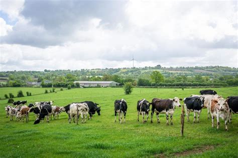 Un week end à la ferme en Mayenne Voyager en photos blog voyage